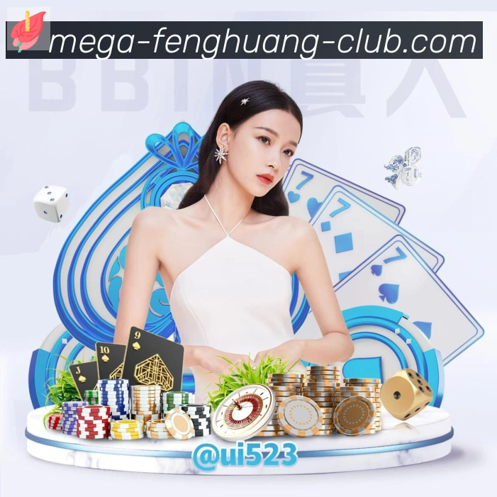 互动解说服务